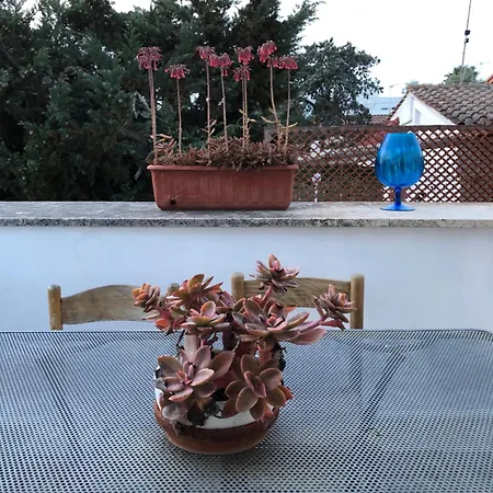 La Casa Del Colle Azzurro Porto Cesareo